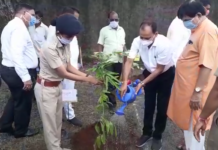 કપરાડા તાલુકા કક્ષાના ૭૧માં વન મહોત્સવની નાનાપોંઢા ખાતે ઉજવણી