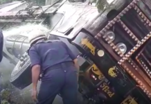 વલસાડના કપરાડા તાલુકાના માંડવા નજીક ટ્રક પલટી મારતા લાગી આગ