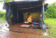 પરિણામની ફિકર નથી મને, મહેનત કરવાની એક અલગ જ મજા છે