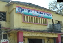 ડાંગના યુવાનોનું જંગલ-જમીન સહિતના વિવિધ પ્રશ્ને આપ્યું આવેદન