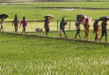 શું ભારત ફરી કૃષિ પ્રધાન બનશે ?