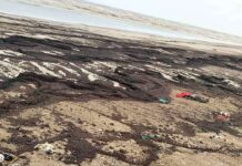 ઉમરગામમાં ઓઇલ વેસ્ટની કાળી ચાદર દરિયા કાંઠા પર છવાઈ !