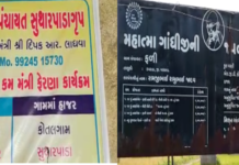 વલસાડ જિલ્લાના કપરાડા તાલુકાના ફળી સુથારપાડાના સરકારી બાબુ લાલિયાવાડી સામે આવી