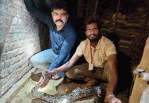 નાનાપોંઢાના ખૂટલી ગામમાં મહાકાય અજગરનું રેસ્ક્યુ