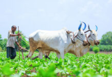 કૃષિ ક્ષેત્રના ત્રણ બિલોનો વિવાદ !