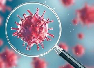 વલસાડ જિલ્લામાં 31 થી 40 વર્ષના 33 ટકા યુવકોમાં કોરોના વધુ પ્રમાણ