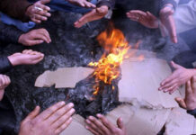 નવસારી-વલસાડ જીલ્લામાં વહેલી સવારે ગુલાબી ઠંડીનો ચમકારો