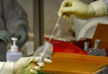 ગુજરાતમાં આજે કોરોનાના નવા 935 કેસ નોંધાયા