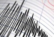 સમગ્ર દક્ષિણ ગુજરાતમાં ભૂકંપના લાગ્યા હળવા આંચકા !