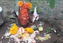 વાંસદાનાં પાટા ફળીયામાં આદિવાસી પરંપરા અનુસાર વાઘબારસની કરવામાં આવી પૂજા !