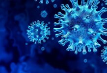 ગુજરાતમાં કોરોનાના નવા 819 દર્દી, 1020 રિકવર થયા, 7 લોકોનાં મોત