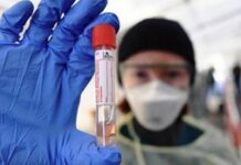 રાજ્યમાં આજે કોરોનાના નવા 954 કેસ નોંધાયા