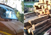 કપરાડા: મેણધા ગામેથી શીશમ અને સાગી લાકડા ભરેલ ટેમ્પો વનવિભાગએ ઝડપી પાડયો