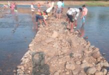 નર્મદા: ડેડિયાપાડા તાલુકાના લાડવા, મોજરા ગામના લોકોએ જાતે શ્રમદાન કરી કોઝવે બનાવ્યો