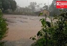 જાણો ! દક્ષિણ ગુજરાતમાં ક્યાં ? મન મૂકી વરસ્યા મેઘરાજા !