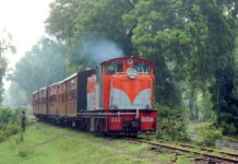 આદિવાસીઓ માટે જીવાદોરી સમાન, વઘઈ બીલીમોરા નેરોગેજ ટ્રેન બંધ નહિ થાય