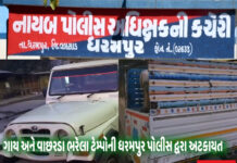 ધરમપુરના પીપરોળ ઘાટ પર ગાય અને વાછરડા ભરેલા ટેમ્પા સાથે એકની ધરપકડ !