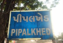 વાંસદાના પીપલખેડ ગામને ડિજીટલ ગામ બનાવવાની વાતો થઇ વહેતી !