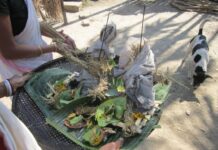 ગામમાં પશુપાલન કે ખેતીના બદલે મેલી વિદ્યા છે લોકોનો મુખ્ય વ્યવસાય !