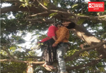 ચલો પ્યાર મેં કુરબાન હો જાતે હૈ ! વધુ એક પ્રેમી પંખીડાનો આપઘાત !