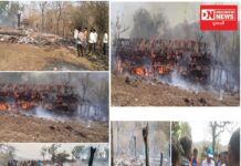 નસવાડીના સિંધીપાણી ગામના ઘરમાં લાગી આગ, ઘર બળીને ખાક: કોઈ જાનહાની નહિ !