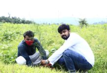 ૨૧ માર્ચ વિશ્વ વન દિવસે વનોના ઉપકારોને જાણી, સ્વીકારી તેની સુરક્ષાનો સંકલ્પ કરીએ