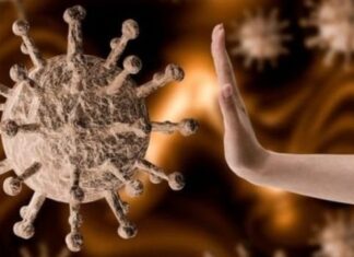 નવસારી નગરપાલિકાની સંસ્થાઓ, દુકાનના કર્મીઓનું વેક્સિનેશન કરવા તાકીદ