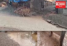 કપરાડા તાલુકાના સિલ્ધા વરવટ અને આજુબાજુના ગામોમાં કમોસમી વરસાદ ઝાપડા !