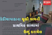 ડેડીયાપાડાના ચૂલી ગામમાં સરકારી પ્રાથમિક શાળામાં ઉભું કરવામાં આવ્યું કોવીડ કેર સેન્ટર