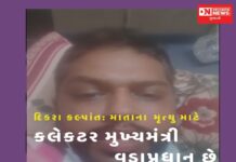 મારી માતાના મૃત્યુ માટે જિલ્લા કલેકટર, મુખ્યમંત્રી અને વડાપ્રધાન જવાબદાર છે !