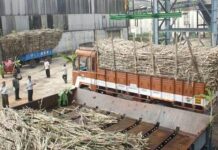 દ.ગુજરાતની સુગર મિલોમાં આજે નક્કી કરવામાં આવશે શેરડીના ભાવ