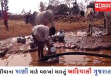 પીવાના પાણીને લઈને દયનીય સ્થિતિમાં પોતાનું જીવન જીવવા મજબૂર લોકો !