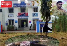 મર્ડરના ૪૮ કલાકમાં આરોપીને ઝડપી પાડતી સિંઘમ પોલીસ !