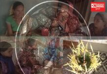 આદિવાસી લોકો દ્વારા પરંપરાગત રીત-ભાતથી આખાત્રીજ તહેવારની ઉજવણી !