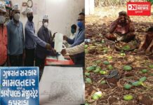 તોકતે વાવાઝોડાથી લોકોના થયેલા નુકશાનનું વળતર માટે અપાયું AAP દ્વારા આવેદનપત્ર !