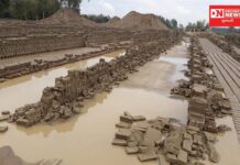 જાણો: તોકતે વાવાઝોડાના કારણે ઇંટના ભઠ્ઠાઓને કેટલા કરોડ રૂપિયાનું થયું નુકશાન !