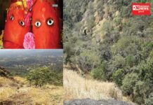 વાંસદામાં આવેલા તોરણીયા ડુંગરની જેમ મૂલટે અને ભવરે ડુંગરની છે પોતાની ખાસિયતો: જાણો