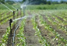 ધરમપૂર-કપરાડાના 37 ગામોમાં 797 કરોડની લિફ્ટ ઇરીગેશનની સિંચાઇ યોજનાને CMની મંજૂરી