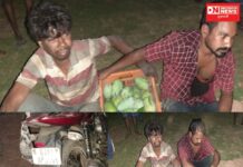 વાંસદાના સુખાબારી ગામમાં બે કેરી ચોર યુવાનો નશાની હાલતમાં ઝડપાયા !