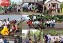 દક્ષિણ ગુજરાતના વિવિધ તાલુકામાં પર્યાવરણ પ્રેમીઓનું વૃક્ષારોપણ !