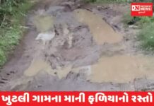 કપરાડામાં ખૂટલી અને આમધા ગામના રસ્તાઓ બિસ્માર હાલતમાં : લોકોમાં તંત્ર વિરુદ્ધ રોષ