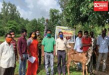કપરાડાના આંબાજંગલ ગામમાં જતન ચેરીટેબલ ટ્રસ્ટ દ્વારા થયું ગૌદાન