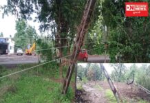 વાંસદાના રાણી ફળીયામાં વીજળીના ૩ થાંભલા થયા ધરાશય: કોઈ જાનહાની નહિ