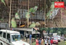 વાંસદાના બંધક વન્ય પોપટોને વન વિભાગ દ્વારા મુક્ત આસમાનની મળી ભેટ