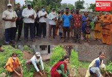 મહુવા ભોરીયા ગામમાં પર્યાવરણ જનજાગૃતિ સંદર્ભે કરાયું વૃક્ષારોપણ !