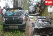 દાનહના ટીનોડા ગામમાં ફોર વ્હીકલ ઝાડ સાથે અથડાતા સર્જાયો અકસ્માત