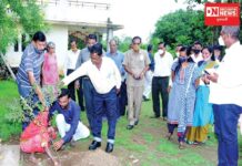 અનાવલ પાંચકાકડા ખાતે ઔષધીય વનસ્પતિના વૃક્ષારોપણની એક પહેલ