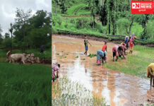 ડાંગના ગામોમાં મેઘરાજા મન મૂકી વરસતા ખેડૂતોમાં આનંદો !