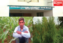 ગોધરા પોલીસે પંચમહાલના શહેરા તાલુકાના જોધપુર ગામેથી ગાંજાનો જથ્થો ઝડપ્યો