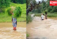 વલસાડ: કપરાડા તાલુકાના સિલ્ધા ગામે ઝાંખની ફળિયાના લોકોને કોઝવે ન હોવાથી પડી રહી છે મુશ્કેલી